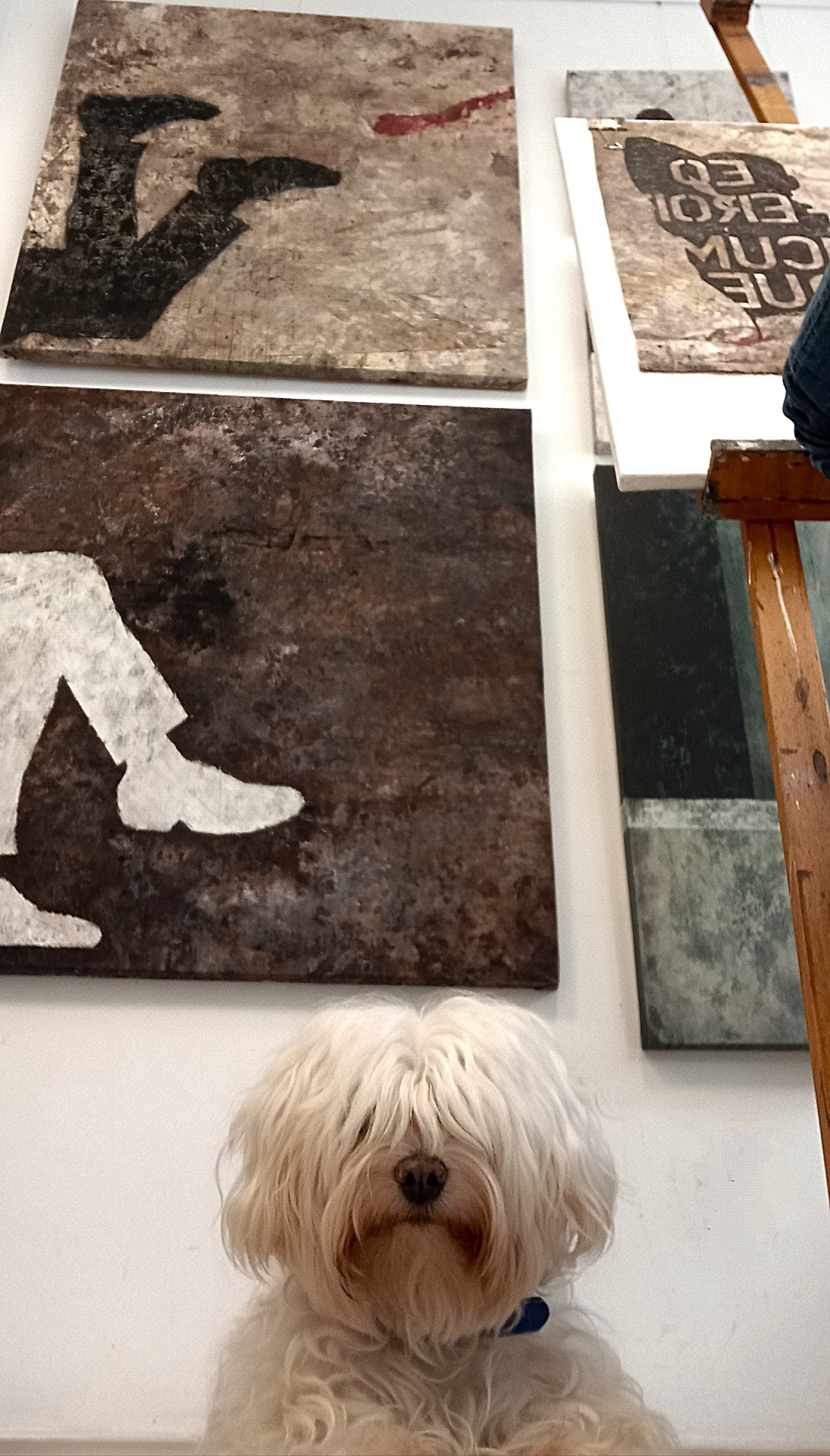 Perro del artista frente a cuadros en el estudio